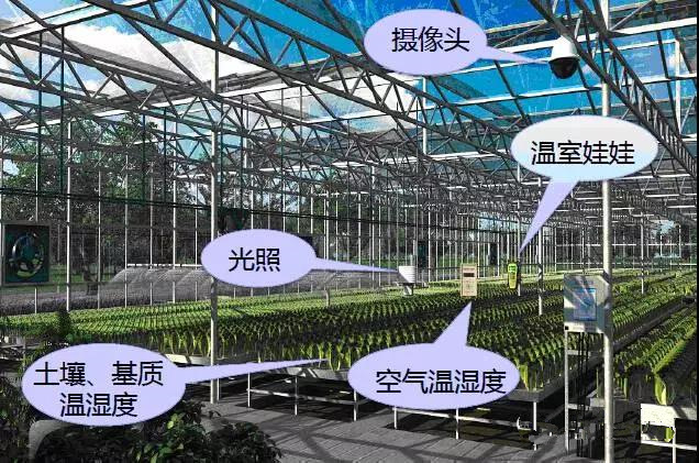 溫室物聯(lián)網(wǎng)大數(shù)據(jù)云平臺(tái)